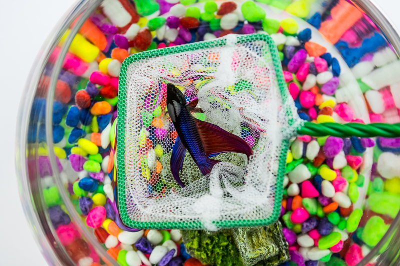 moving supplies boxes